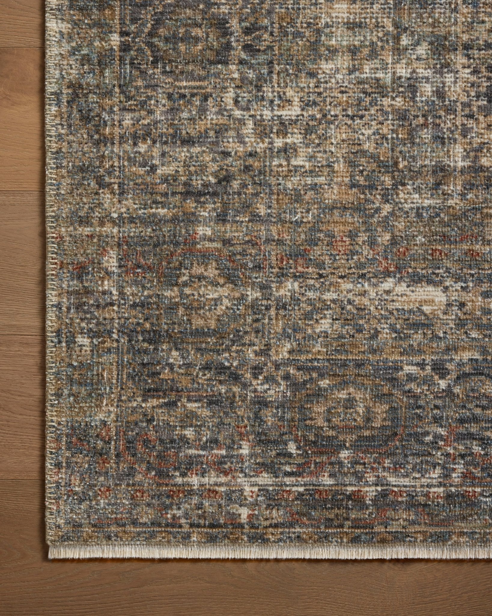 Alanna Rug by Loloi - Plain Jane Interiors