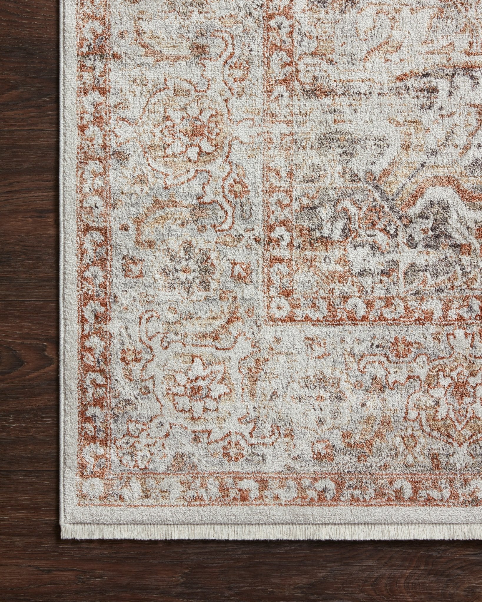 Charlotte Rug by Loloi - Plain Jane Interiors