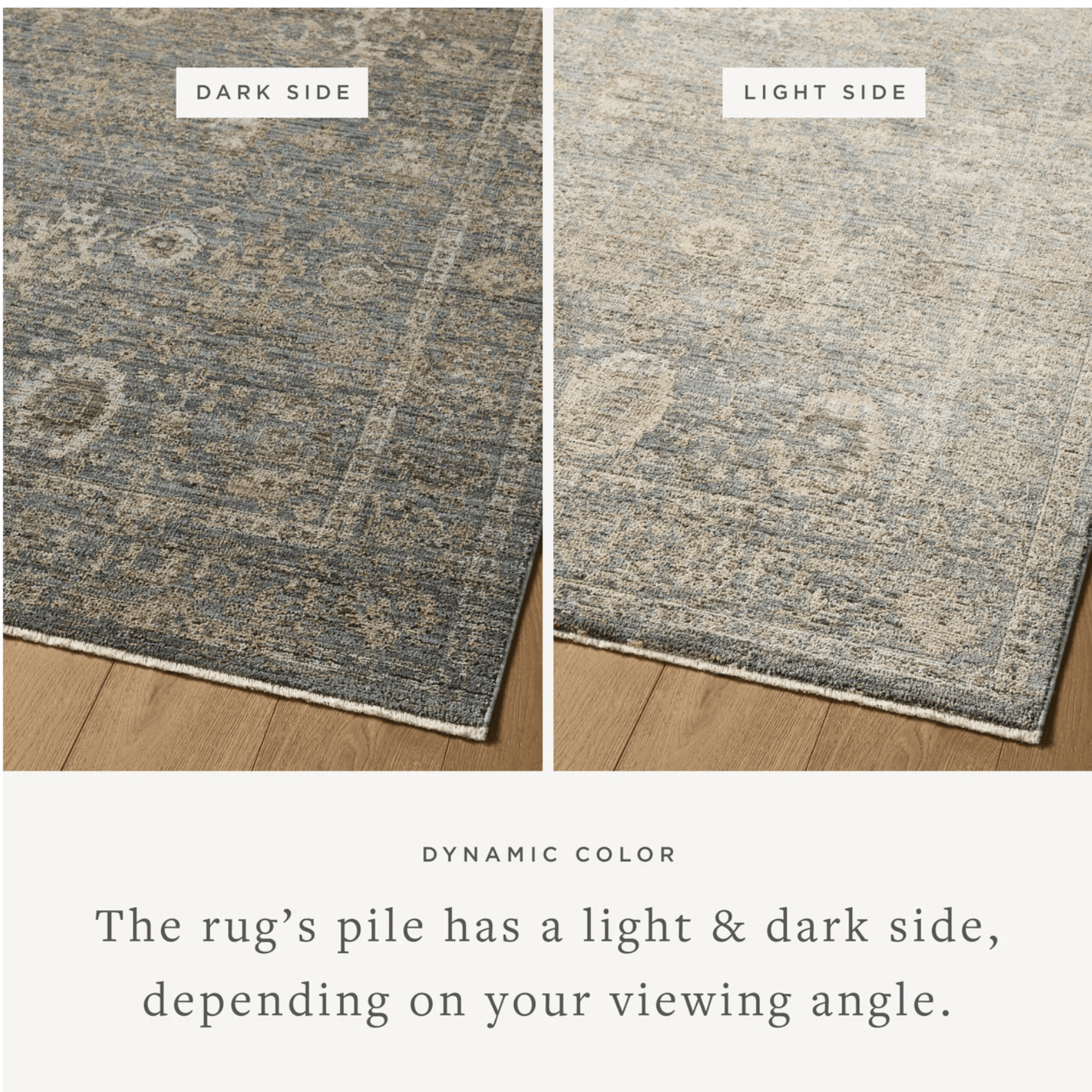Clementine Rug by Loloi - Plain Jane Interiors