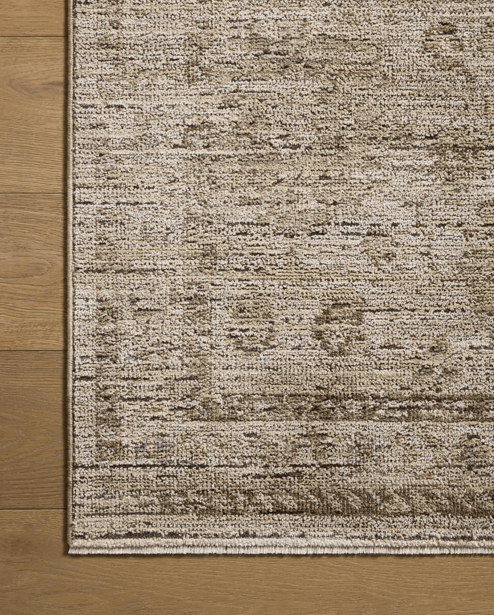 Delphine Rug by Loloi - Plain Jane Interiors