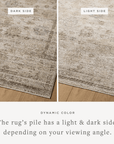 Delphine Rug by Loloi - Plain Jane Interiors