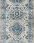 Eloise Rug by Loloi - Plain Jane Interiors