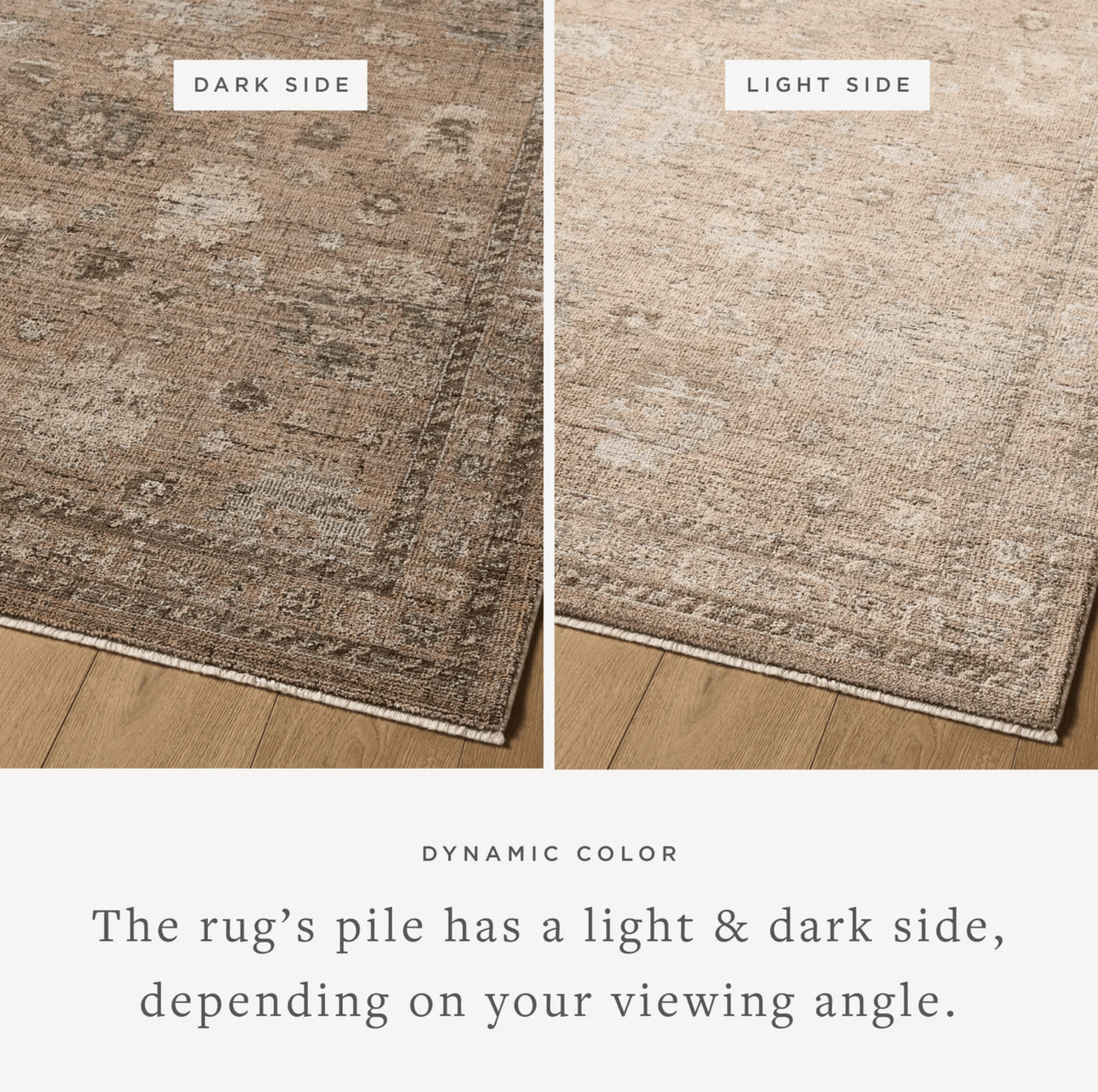 Henriette Rug by Loloi - Plain Jane Interiors