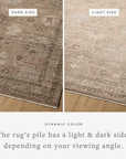 Henriette Rug by Loloi - Plain Jane Interiors