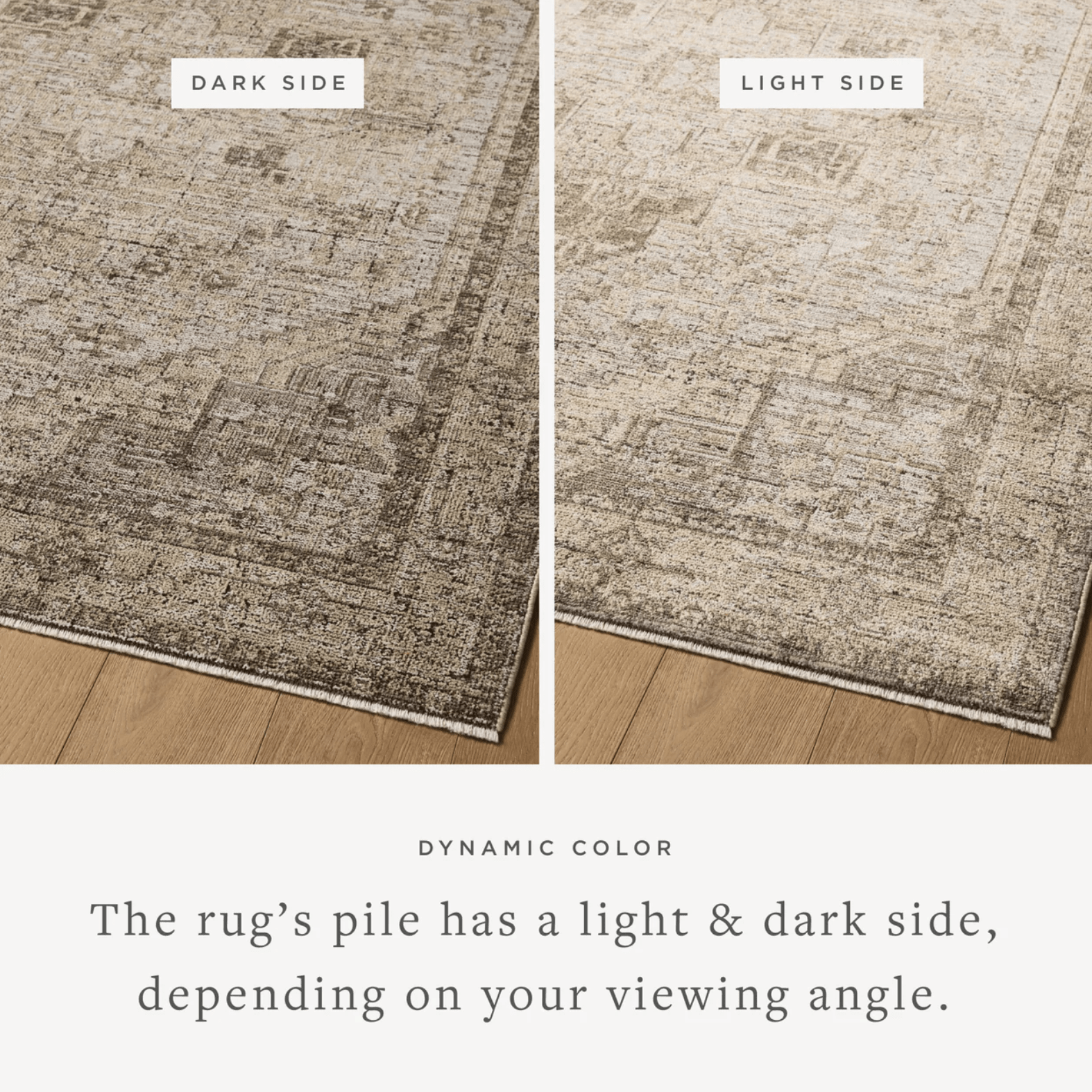 Ines Rug by Loloi - Plain Jane Interiors