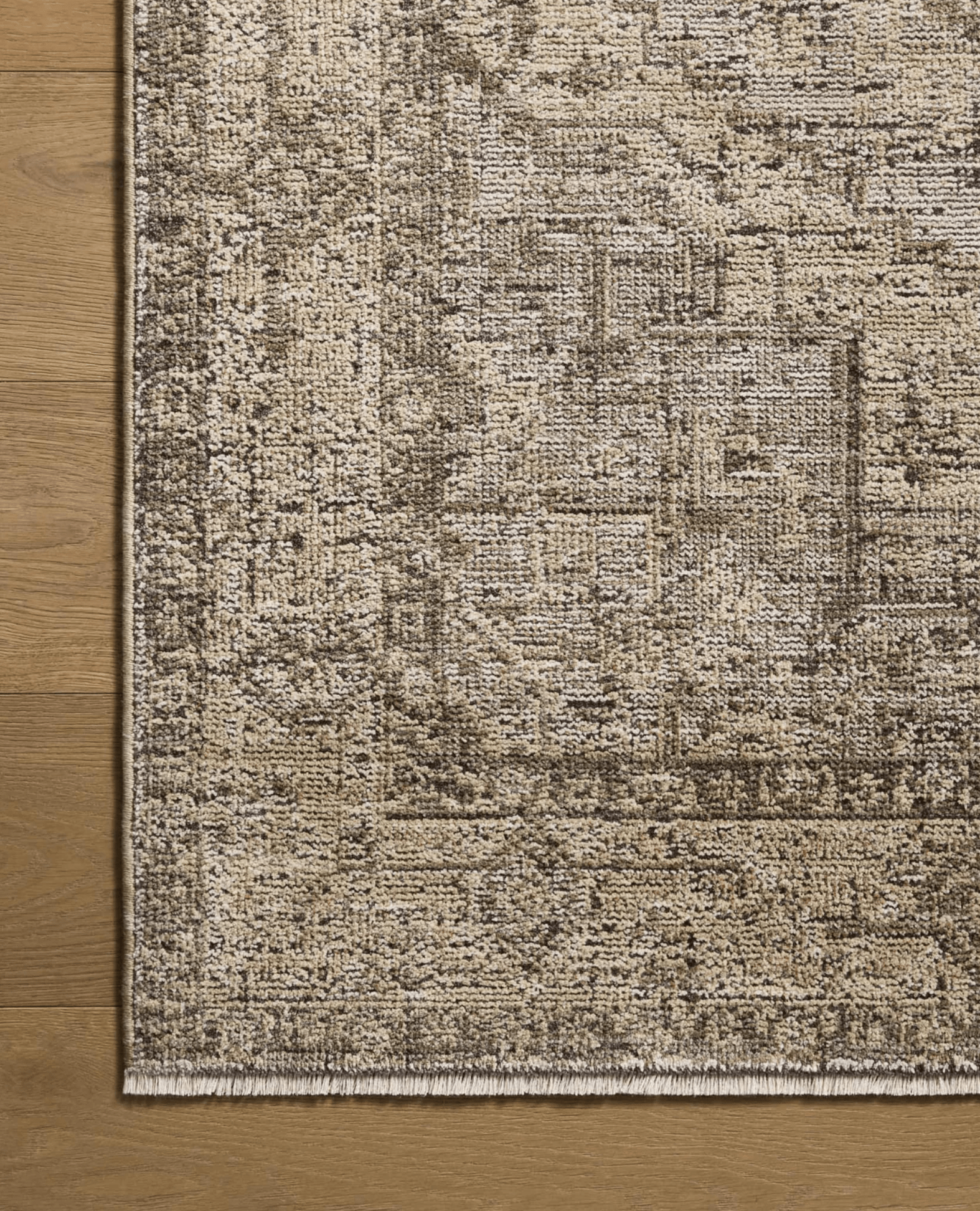 Ines Rug by Loloi - Plain Jane Interiors