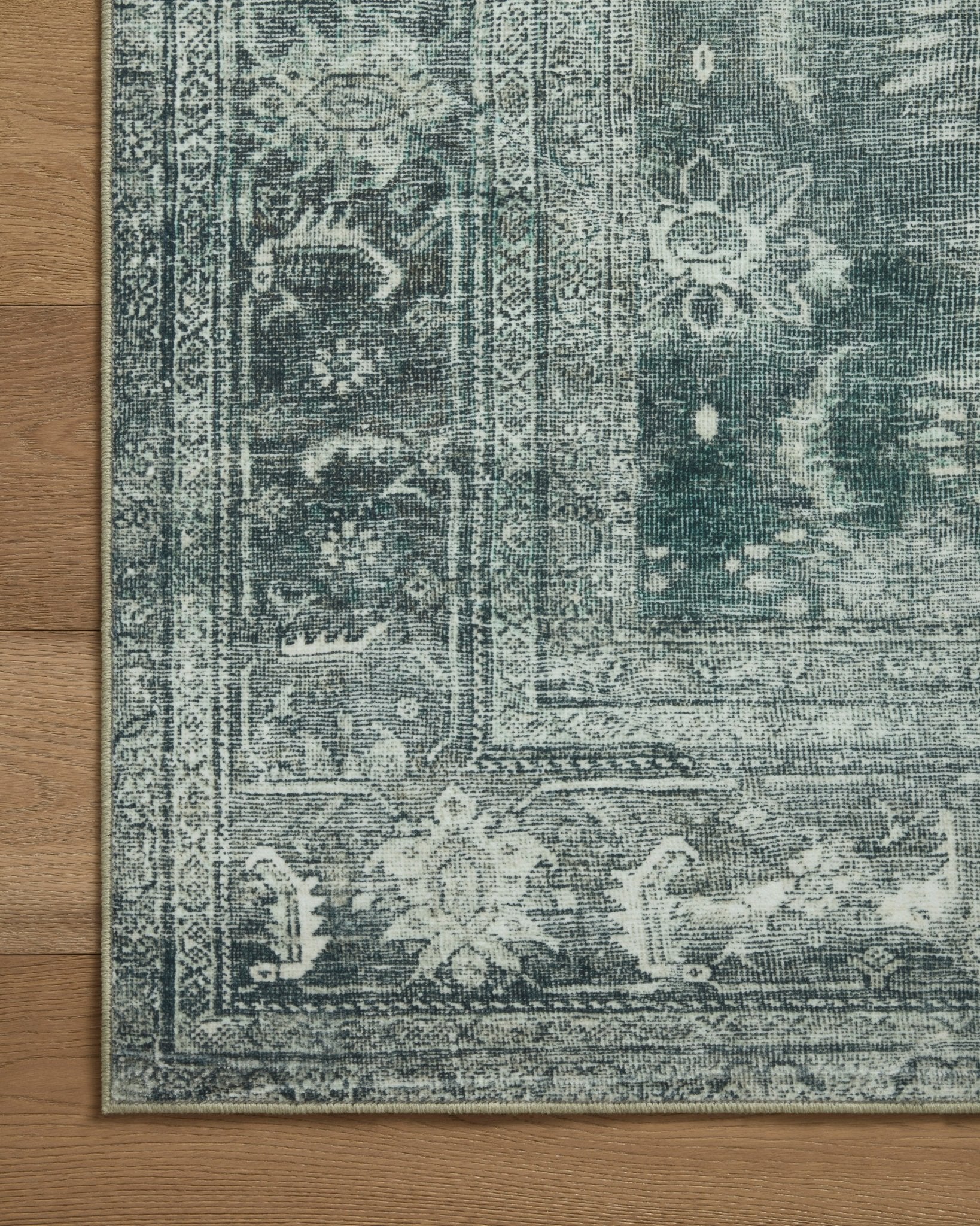 Isabella Rug by Magnolia Home - Plain Jane Interiors