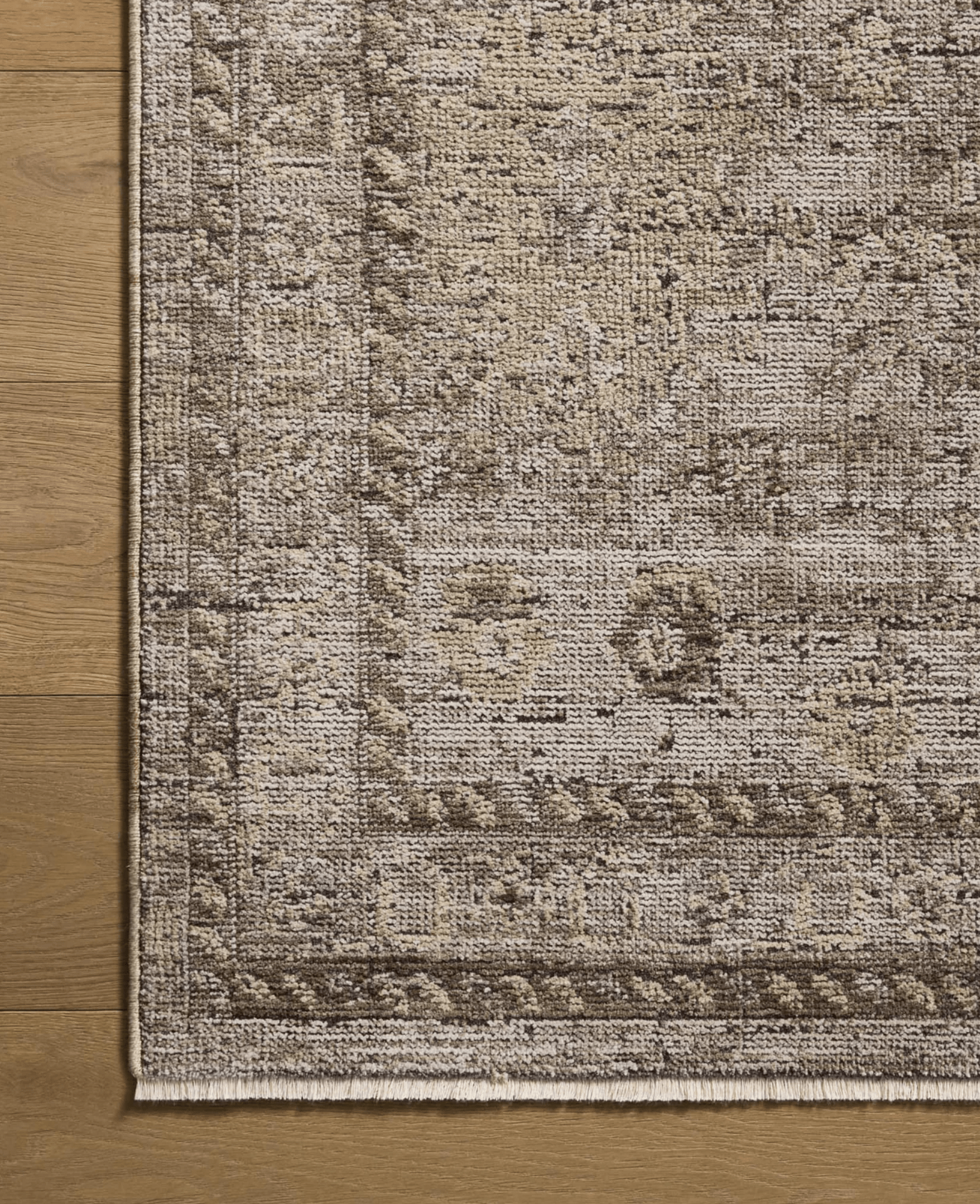 Isolde Rug by Loloi - Plain Jane Interiors