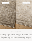 Isolde Rug by Loloi - Plain Jane Interiors