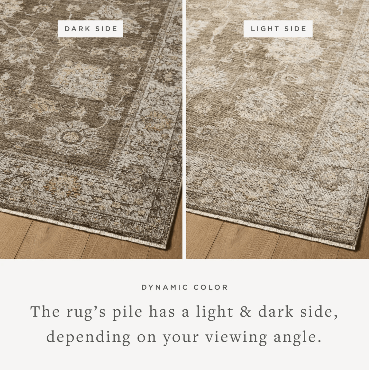 Lilou Rug by Loloi - Plain Jane Interiors