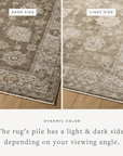 Lilou Rug by Loloi - Plain Jane Interiors