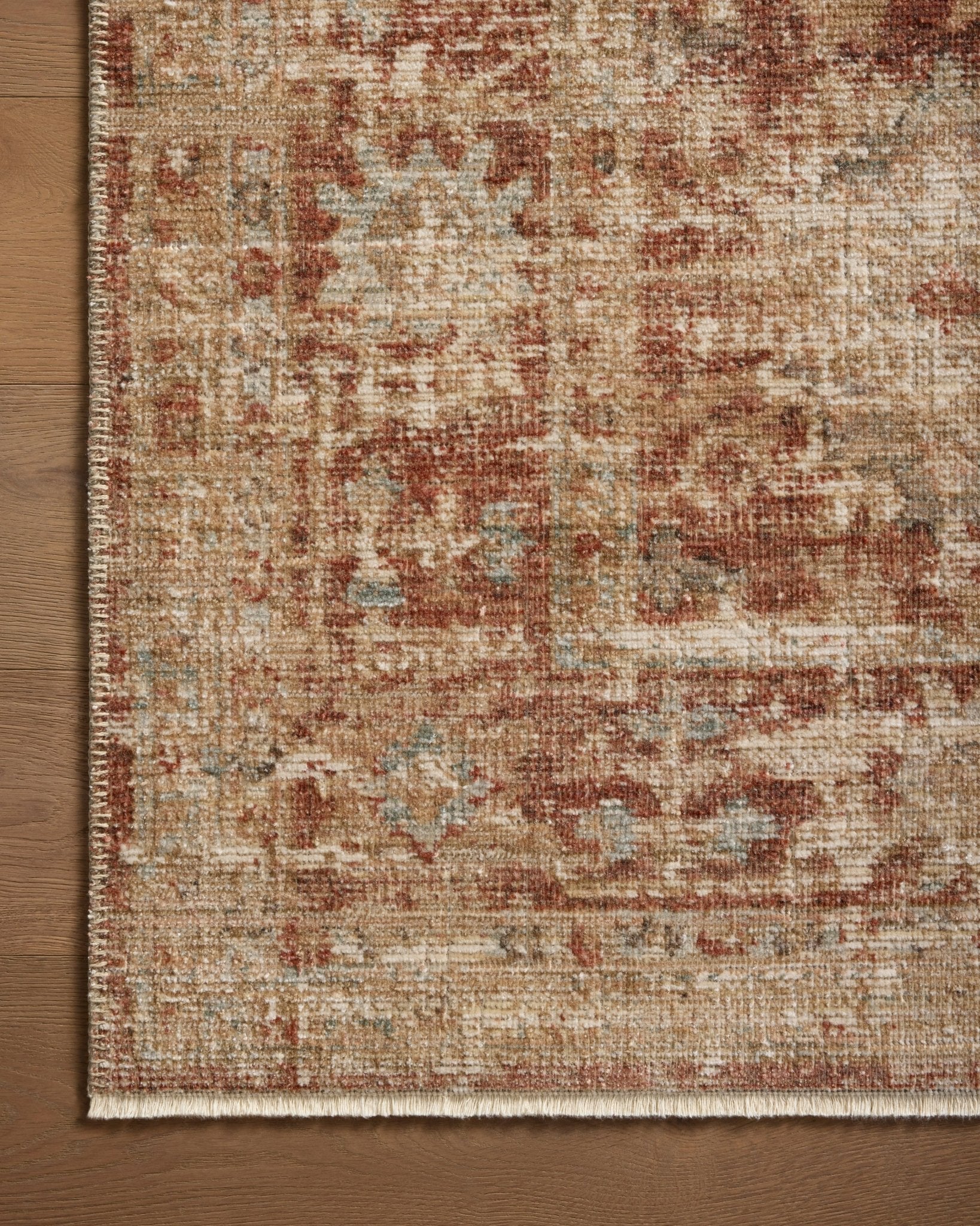 Payton Rug by Loloi - Plain Jane Interiors