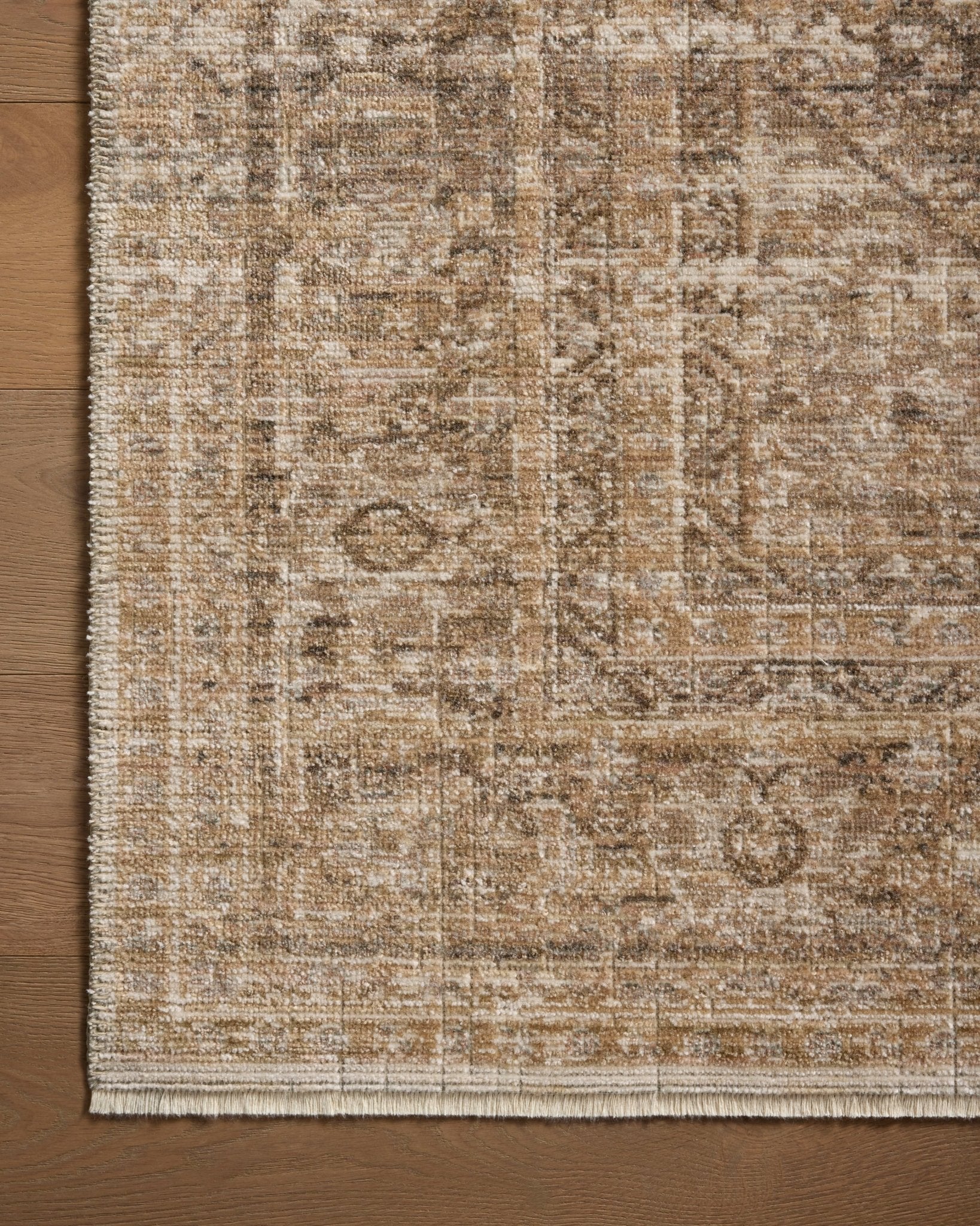 Poppy Rug by Loloi - Plain Jane Interiors