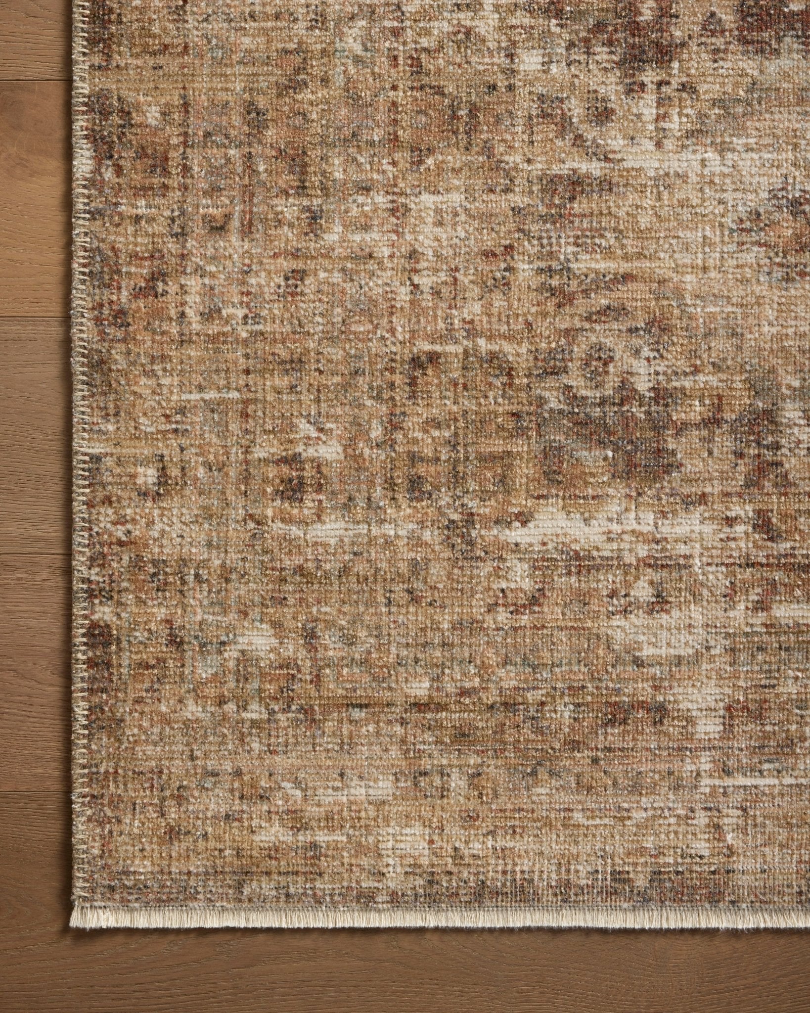 Primrose Rug by Loloi - Plain Jane Interiors