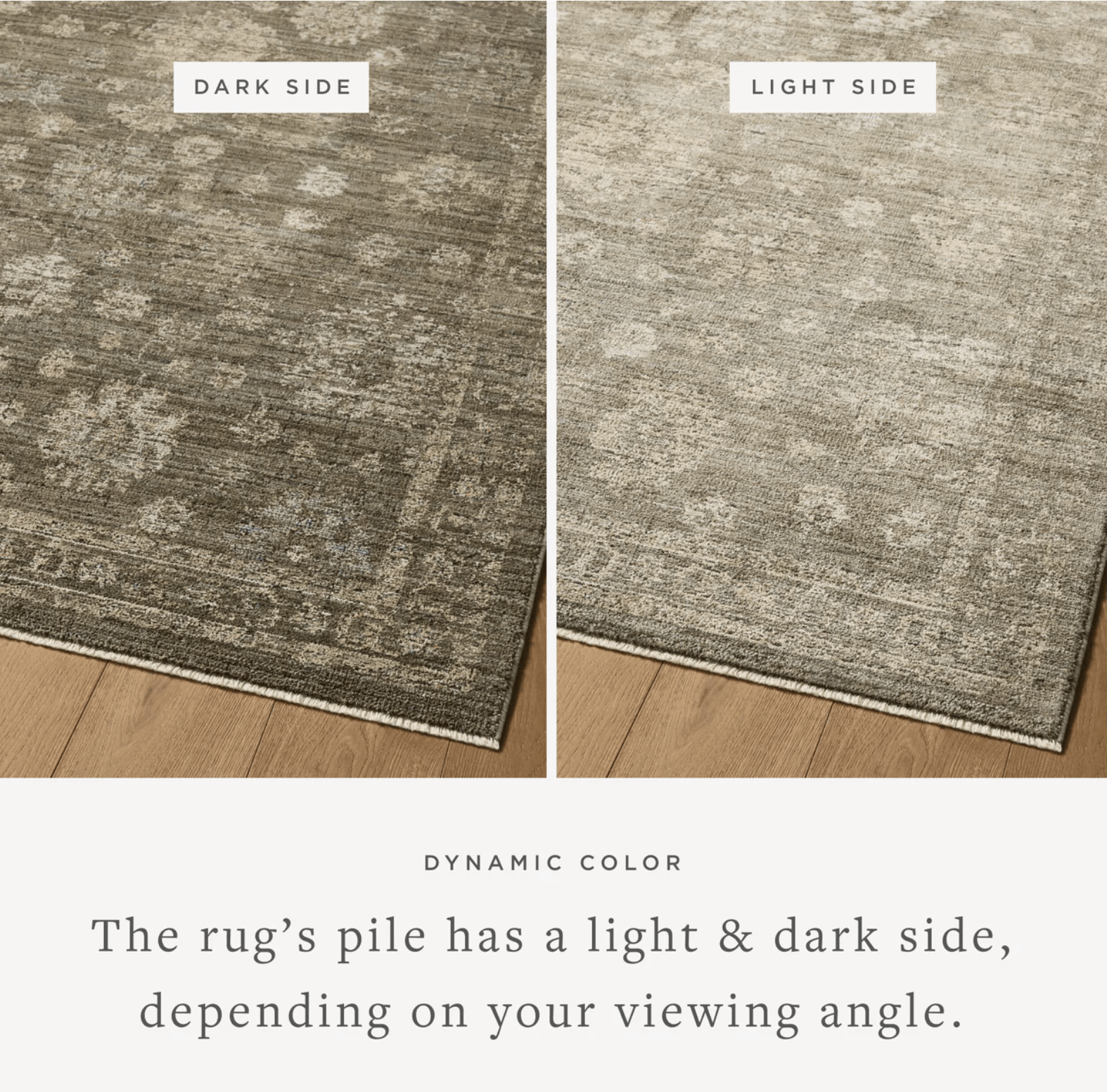 Sabrine Rug by Loloi - Plain Jane Interiors