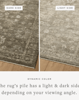 Sabrine Rug by Loloi - Plain Jane Interiors