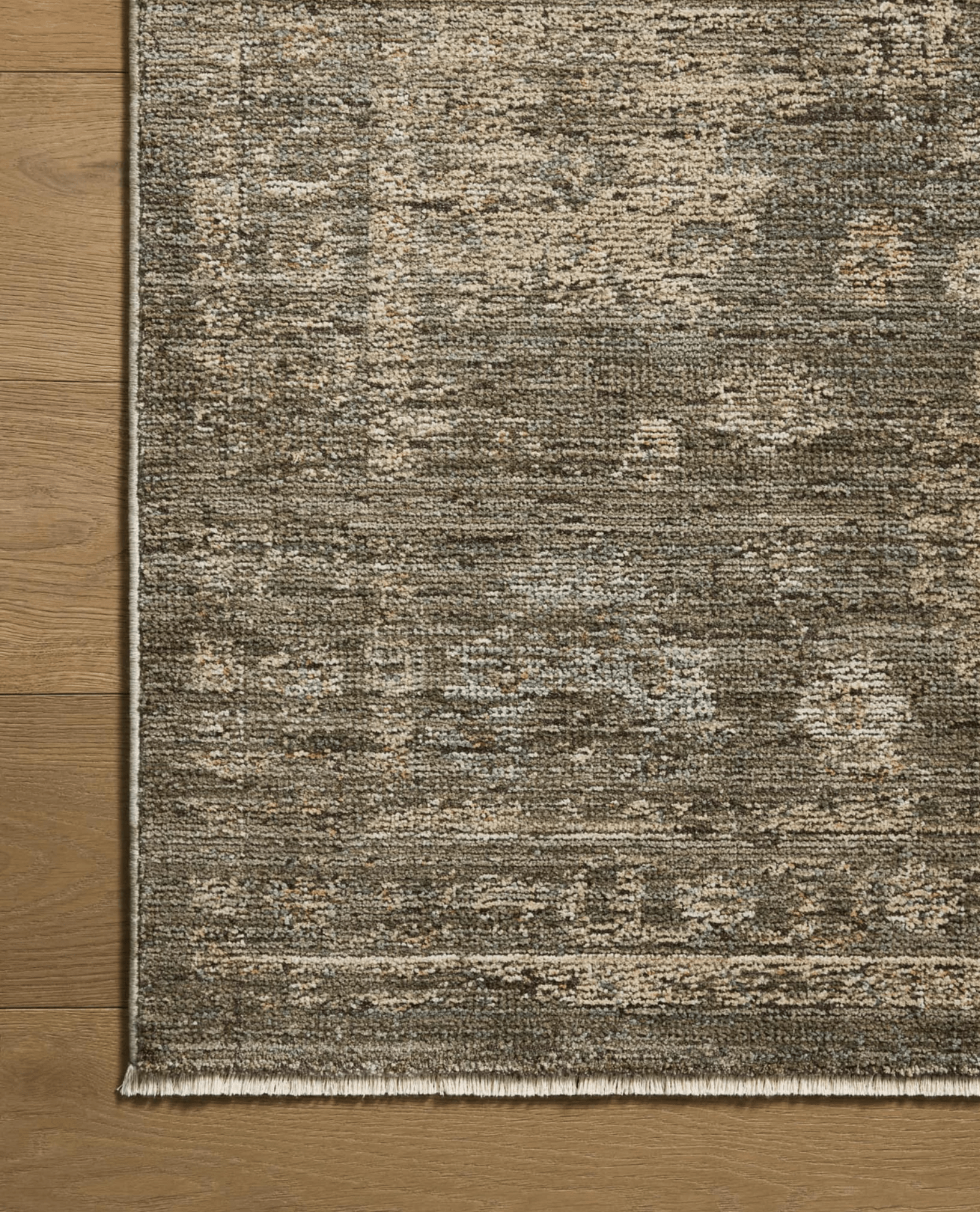 Sabrine Rug by Loloi - Plain Jane Interiors