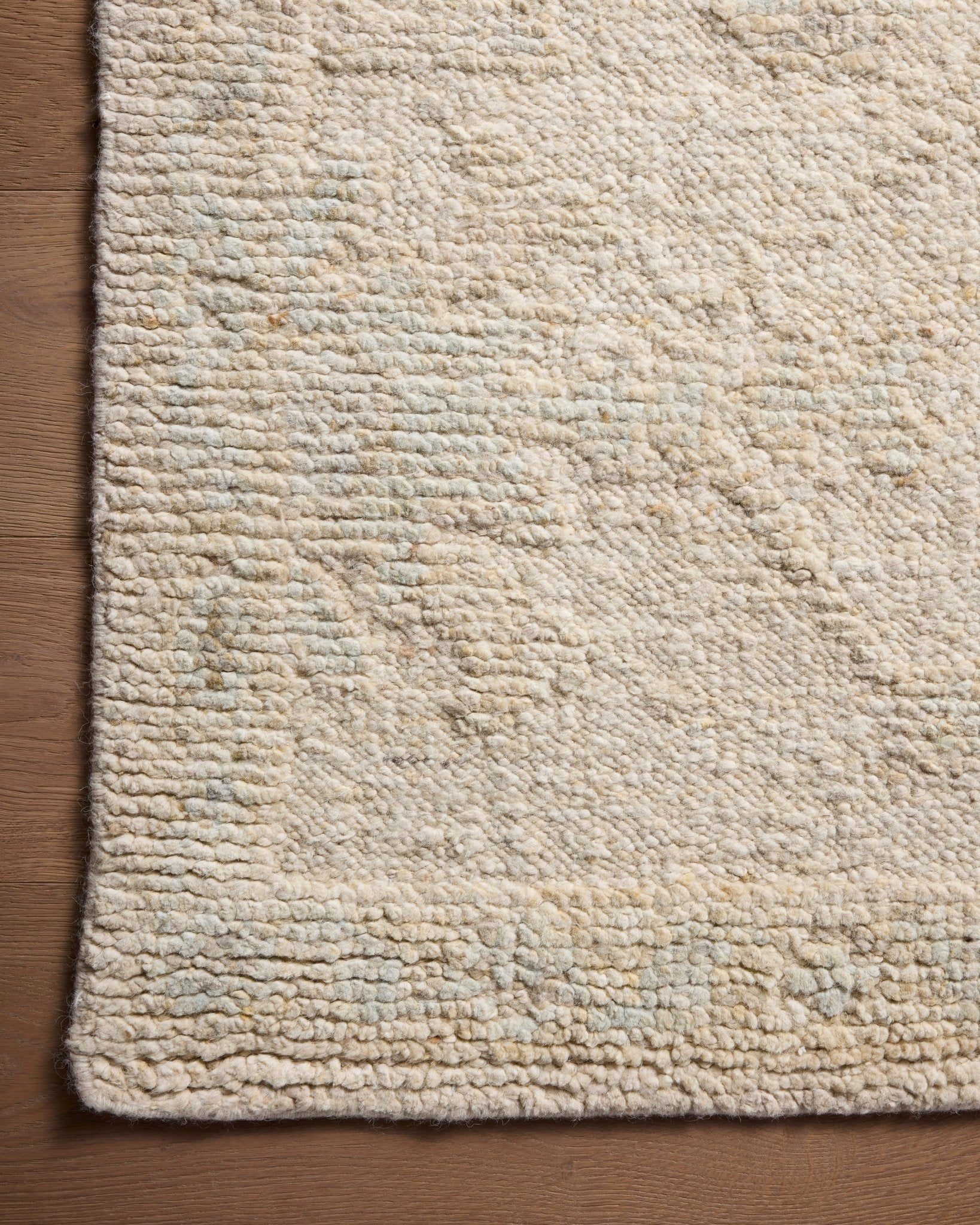 The Bianca Rug by Loloi - Plain Jane Interiors