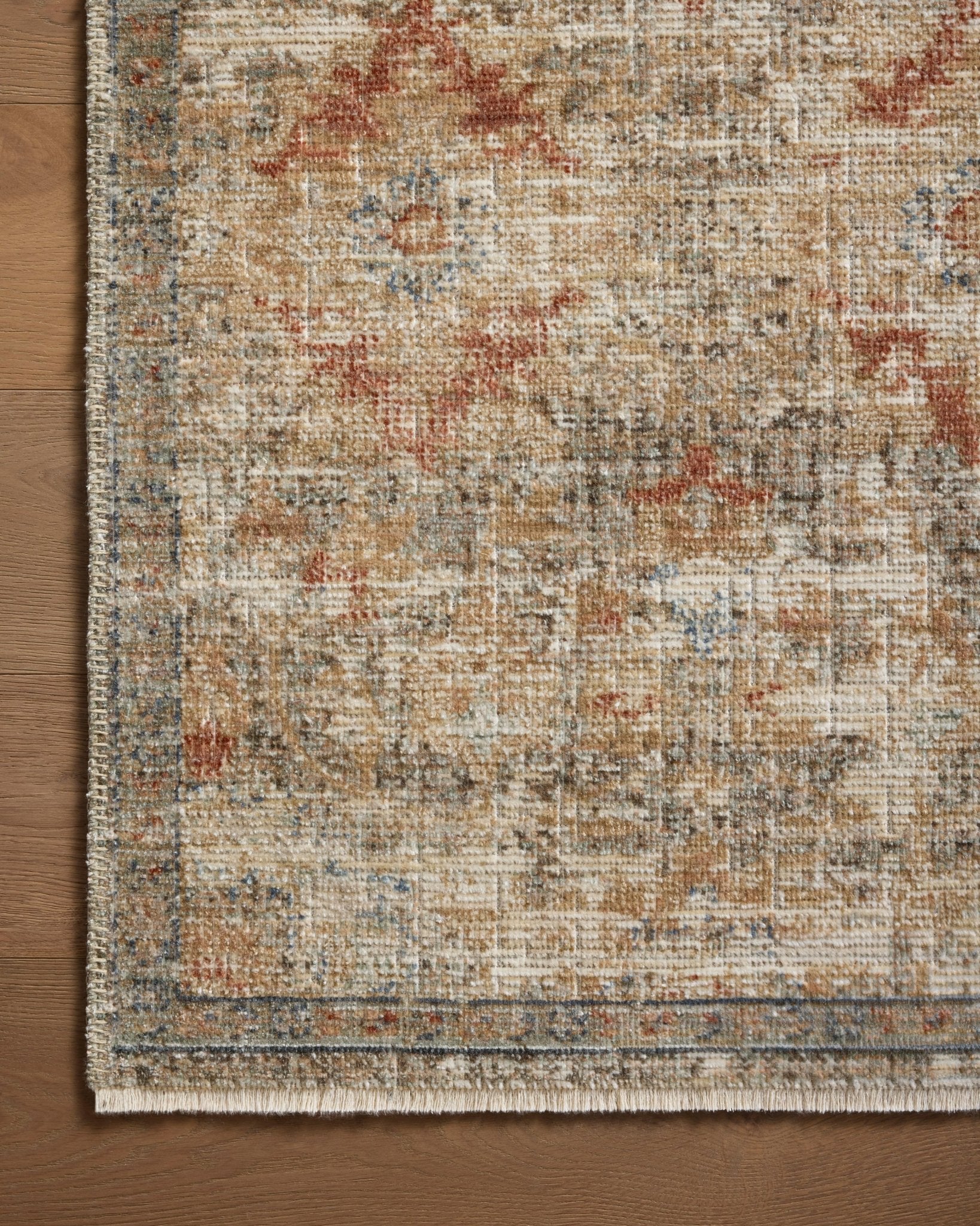 The Billie Rug by Loloi - Plain Jane Interiors