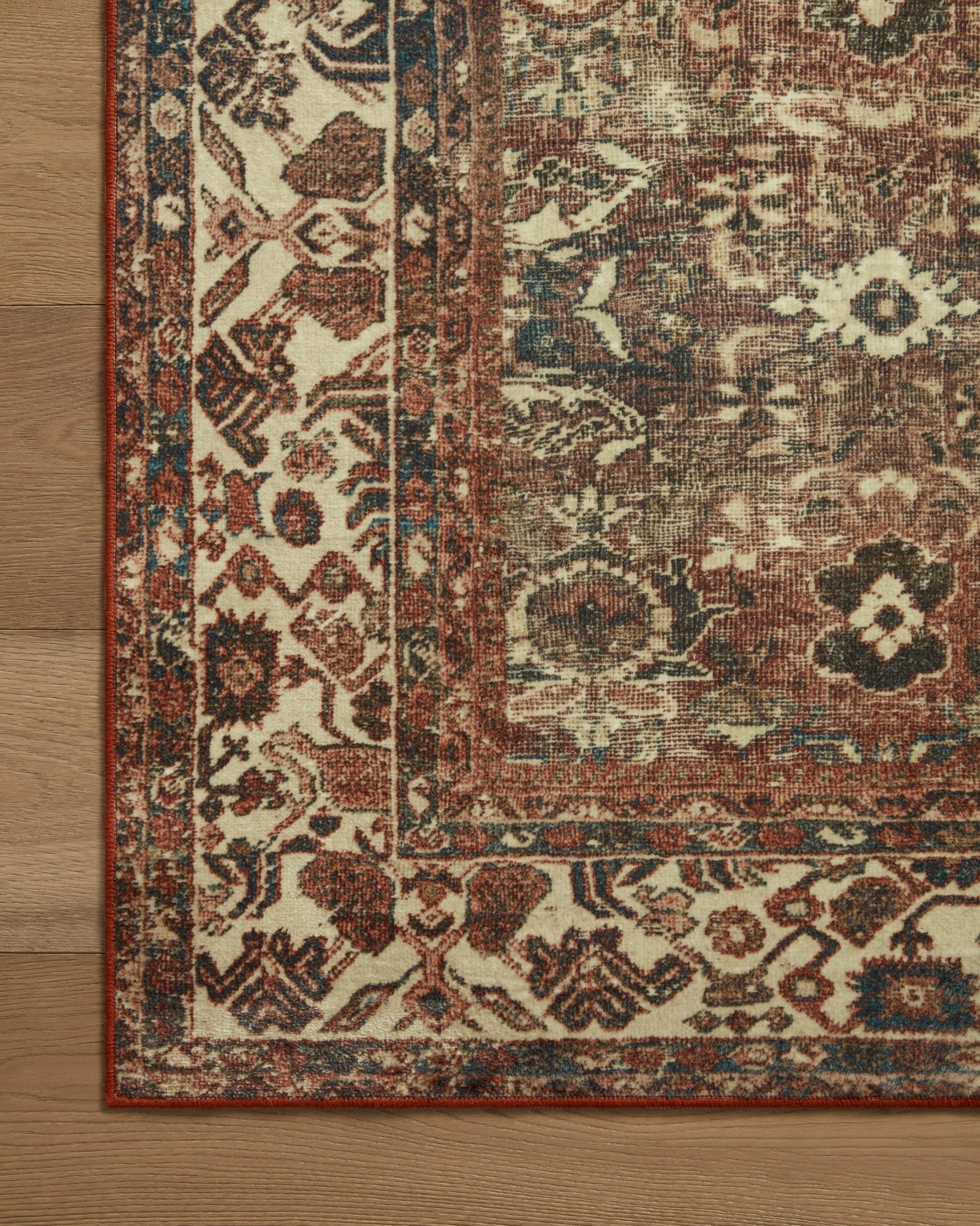 Vanessa Rug by Magnolia Home - Plain Jane Interiors