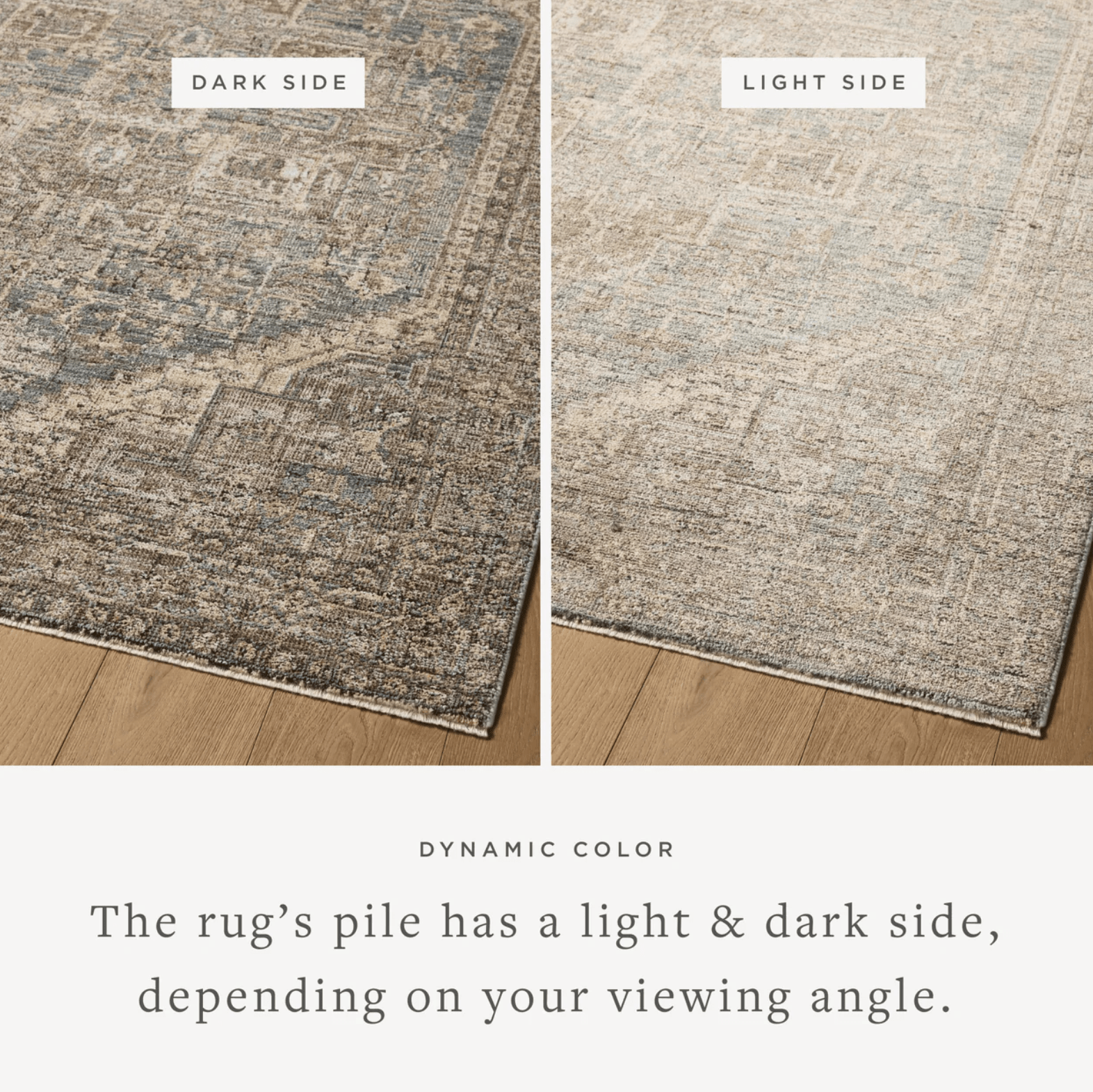 Vera Rug by Loloi - Plain Jane Interiors