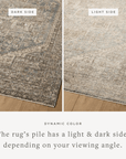 Vera Rug by Loloi - Plain Jane Interiors