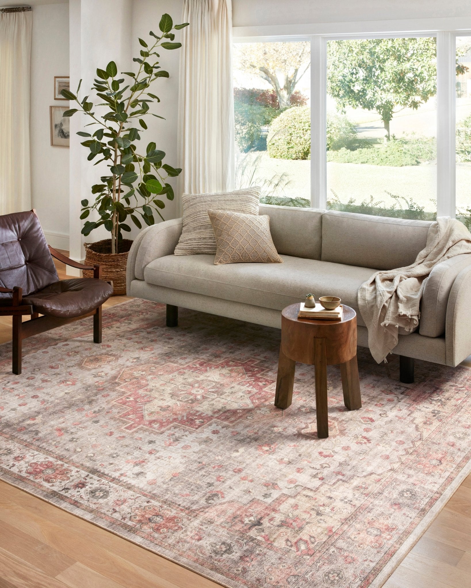 Cordelia Blush Rug by Loloi - Plain Jane Interiors