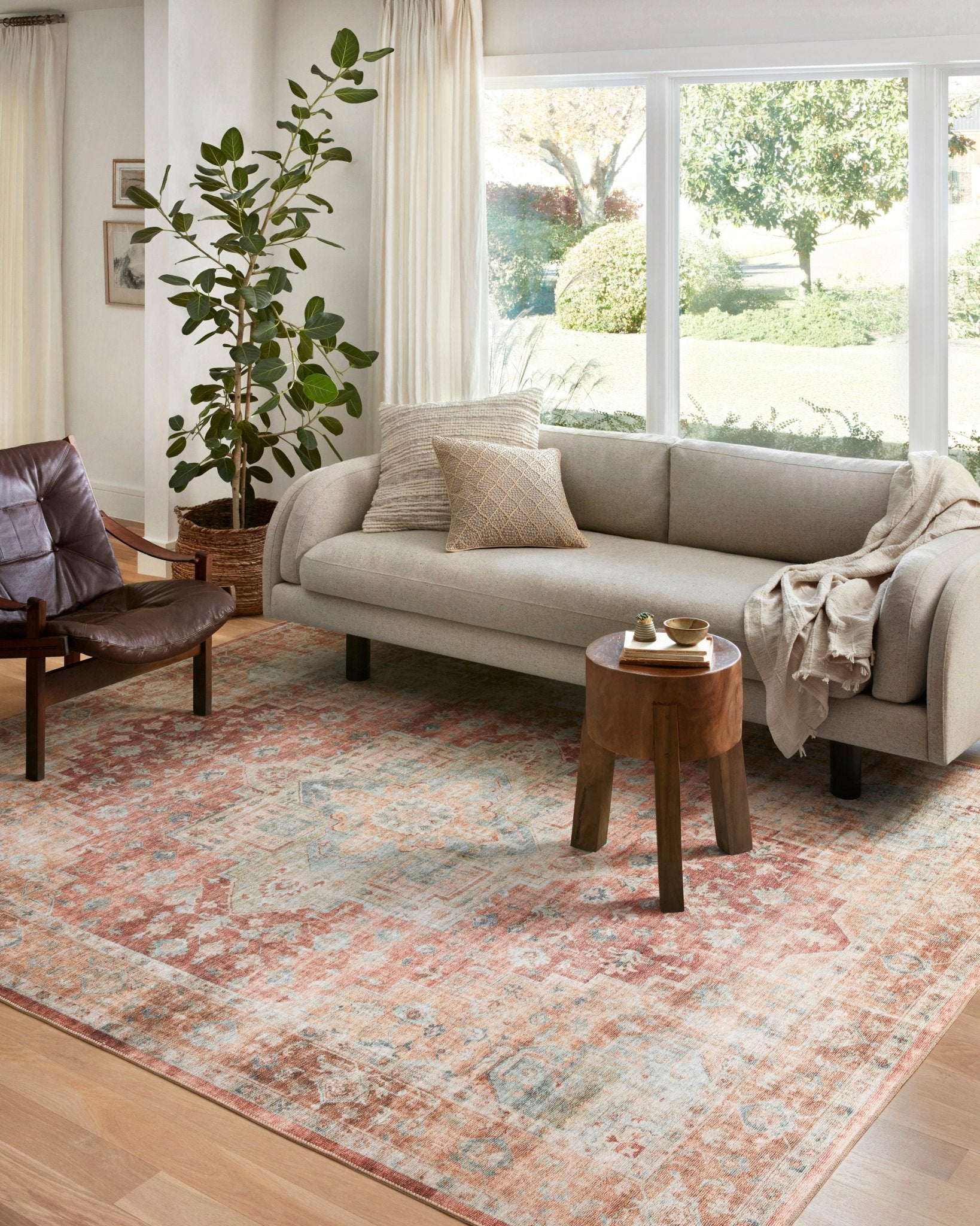 Maeve Rug by Loloi - Plain Jane Interiors