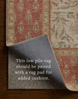 The Edinburgh Rug in SAND / GREEN | Rifle Paper Co x Loloi - Plain Jane Interiors