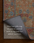 The Edinburgh Rug in TAN / OLIVE | Rifle Paper Co x Loloi - Plain Jane Interiors