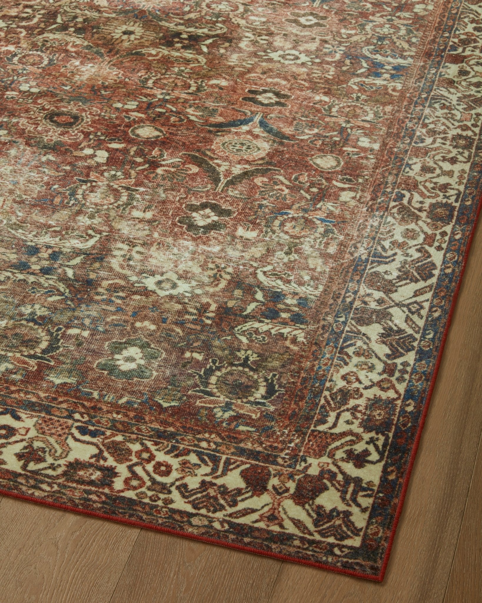 Vanessa Rug by Magnolia Home - Plain Jane Interiors